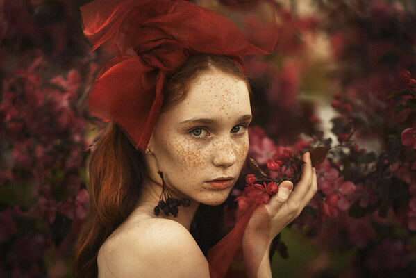 Photograph Victoria Kos Blossom on One Eyeland
