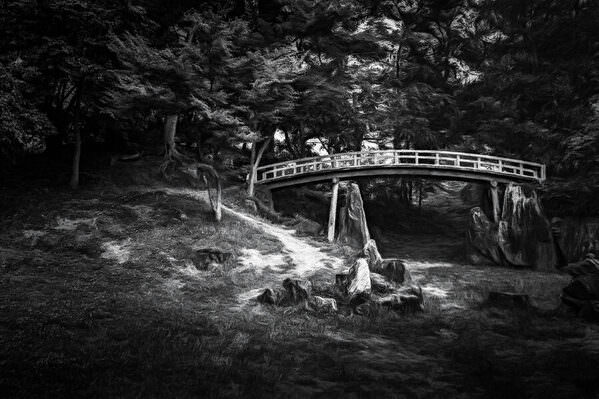 Photograph Gary E Karcz In The Genkyuen Garden on One Eyeland