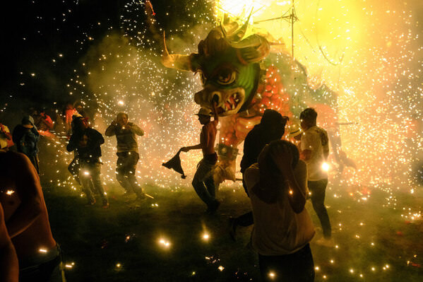 Photograph Antonio Flores Toro Bowser on One Eyeland