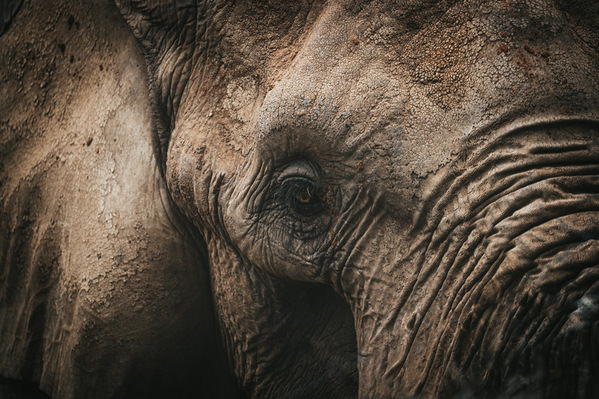 Photograph Ollivier Marc Sight on One Eyeland