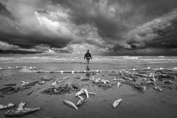 Photograph Hosein Riahi Fisherman on One Eyeland