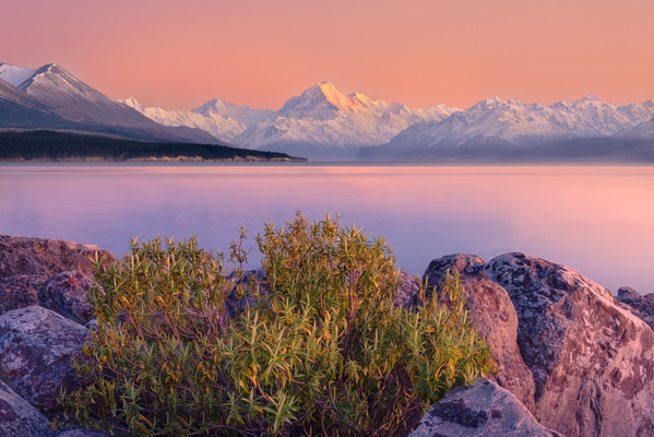 Photograph Satheesh Nair New Zealand Dsc9353top3b on One Eyeland
