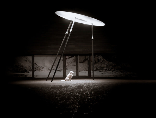 Photograph Ollivier Marc Beam Me Up on One Eyeland