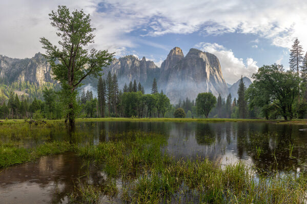 Photograph Joshua Smith Primoridal on One Eyeland