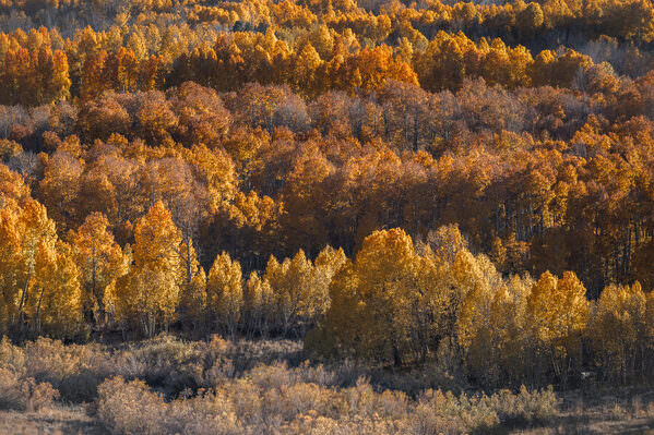 Photograph Joshua Smith Autumnal Layers on One Eyeland