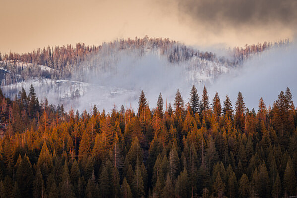 Photograph Joshua Smith Fireridge on One Eyeland