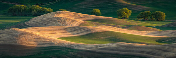 Photograph Joshua Smith Greener Pastures on One Eyeland