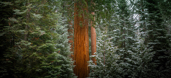 Photograph Joshua Smith Lone Soldier on One Eyeland