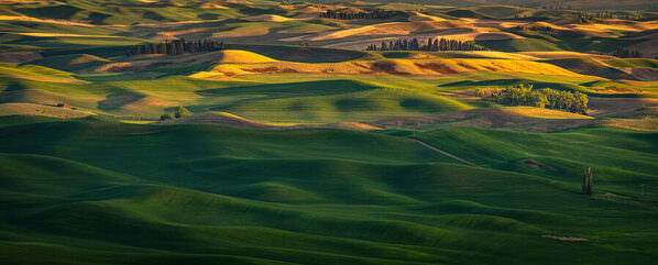 Photograph Joshua Smith Ombre Carpet No 1 on One Eyeland