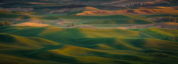 Photograph Joshua Smith Ombre Carpet No 2 on One Eyeland
