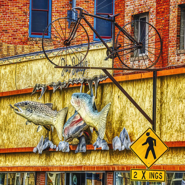 Photograph Larry Hamill Livingston Montana on One Eyeland