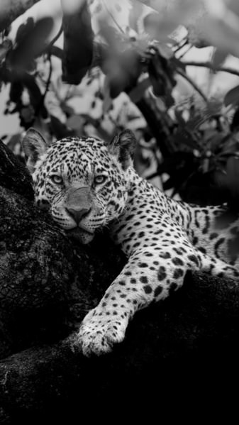 Photograph Ricardo Ferreira Sunday Afternoon on One Eyeland