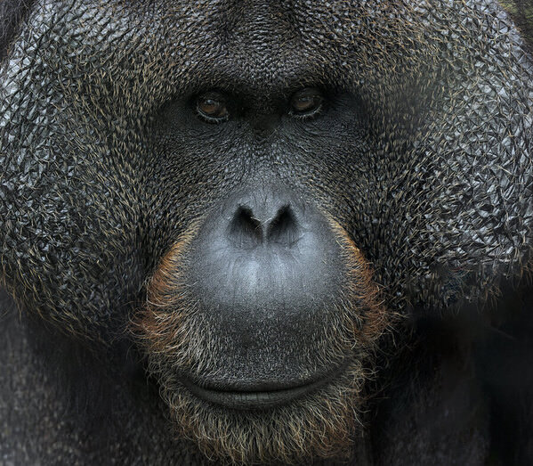 Photograph Luiz Paulo Grinberg Samsom on One Eyeland