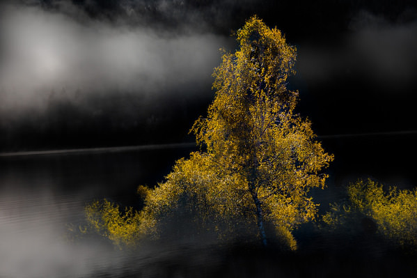 Photograph Ella Schnur Art Luminance Of Simplicity on One Eyeland