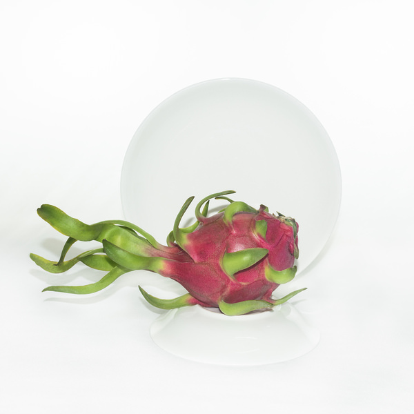 Photograph Loc Huynh Elegant Dragon Fruit Flower on One Eyeland