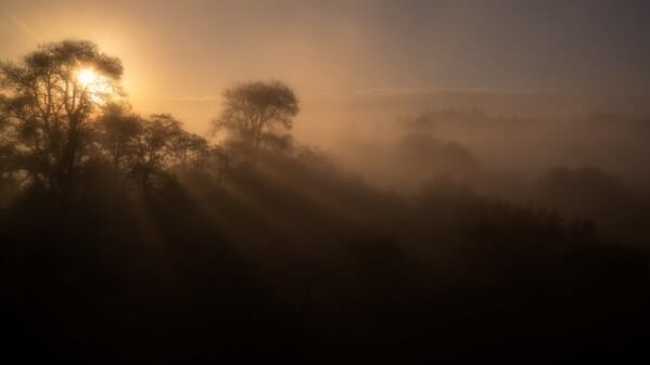 Photograph Genevieve Ma