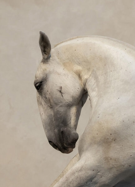 Photograph Helga Madajova Generalissimus Episoda on One Eyeland