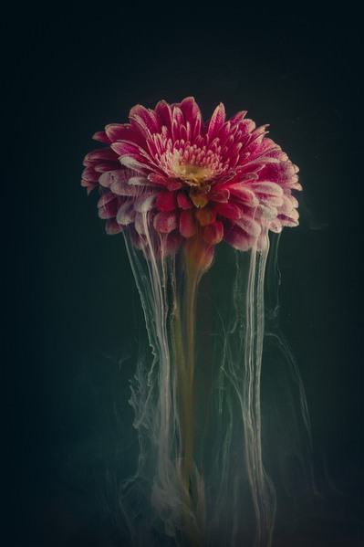 Photograph Angi Wallace Drizzle on One Eyeland
