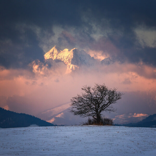 Photograph Pawel Uchorczak Tree on One Eyeland