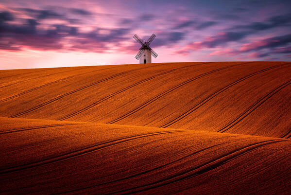 Photograph Golden Brown Winds Of Change on One Eyeland