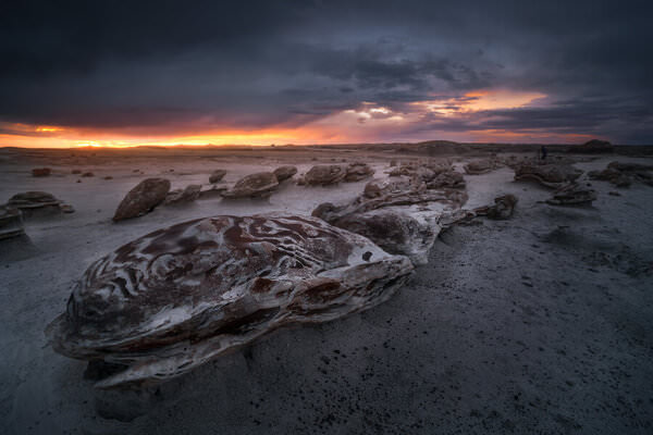 Photograph Daniel Vine Garcia Skeleton on One Eyeland