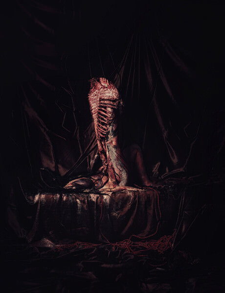 Photograph Eowyn Ruud-olsen Et Nos Unum Sumus  We Are One on One Eyeland