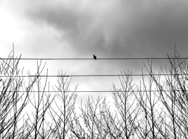 Photograph Artin Darvishi Loneliness Community Verified Icon Verified on One Eyeland