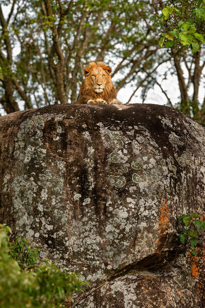 Photograph Ricardo Ferreira The Lion Rock on One Eyeland