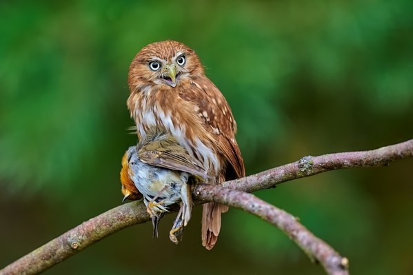 Photograph Jiri Svestka This Is My on One Eyeland
