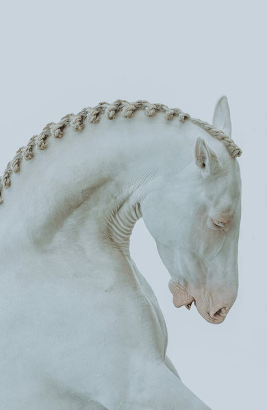 Photograph Helga Madajova Inner Feeling on One Eyeland