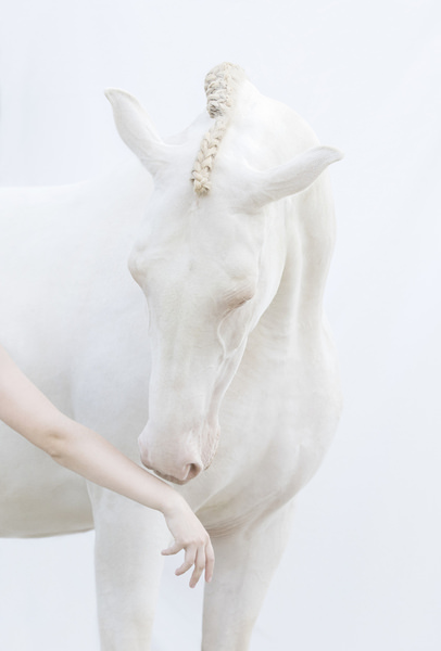 Photograph Helga Madajova Connection on One Eyeland