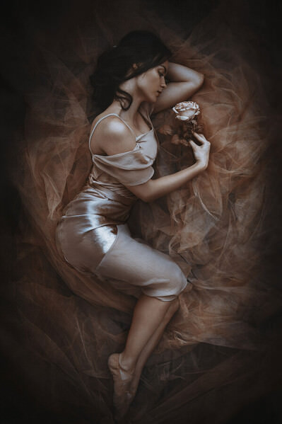 Photograph Sima Bivolarska Stoyanova Rose on One Eyeland