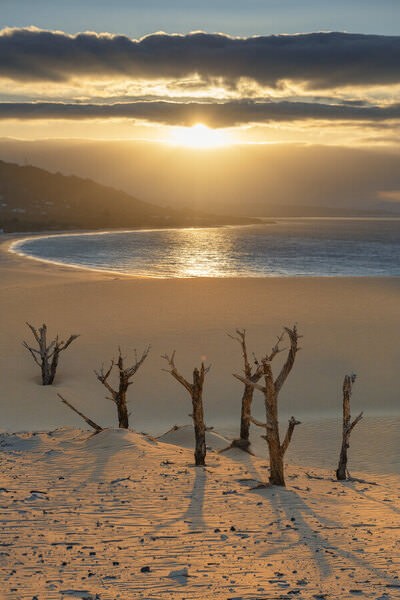Photograph Ben Welsh Punta Paloma on One Eyeland
