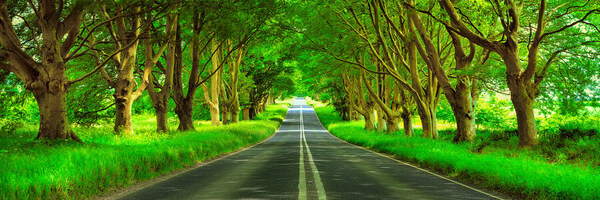 Photograph Alexander Vershinin The Bullet Road on One Eyeland