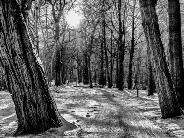 Photograph Jozef Danyi A Backpacker Winter on One Eyeland
