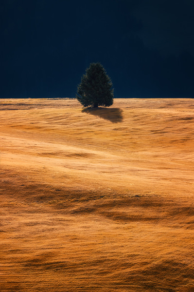 Photograph Martin Kucera Alone On Golden Waves on One Eyeland