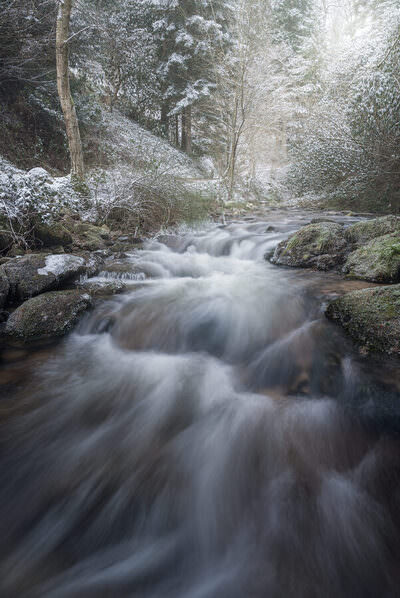 Photograph Benjamin Hoeger Winter Stream on One Eyeland