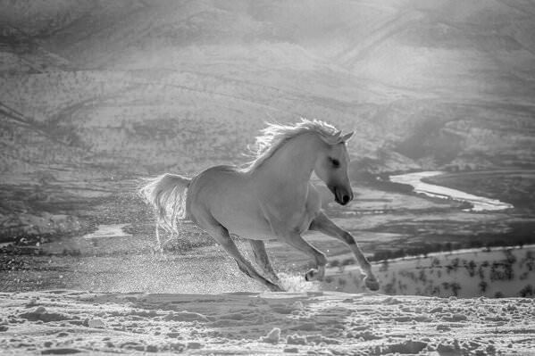 Photograph Armin Abdehou Barzani on One Eyeland