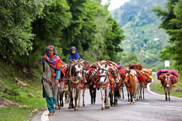 Photograph Momo Mustafa The Nomad on One Eyeland