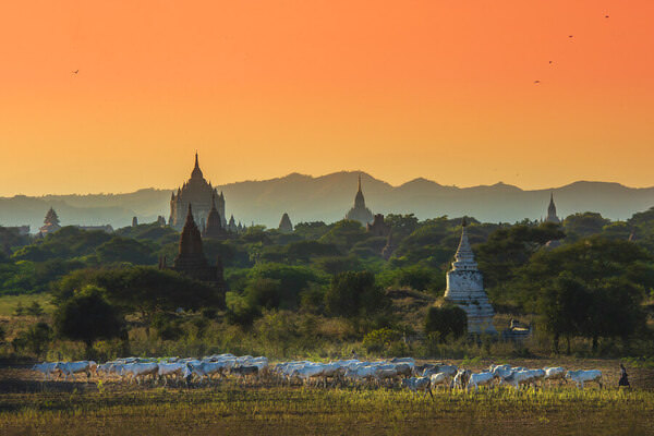 Photograph Kyaw Zay Yar Lin Bagan on One Eyeland