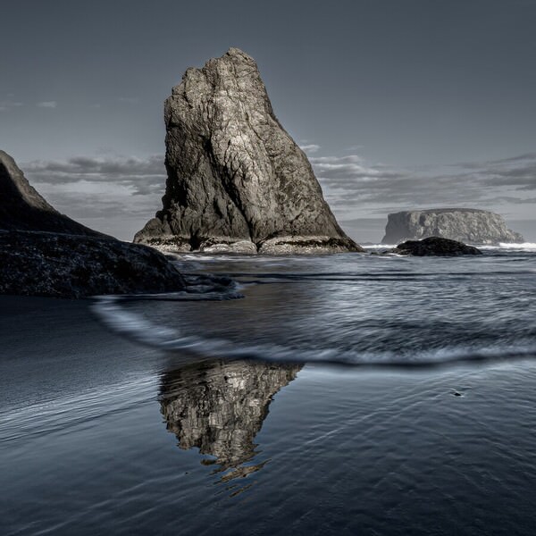 Photograph Genevieve Mayet Elephant Foot on One Eyeland