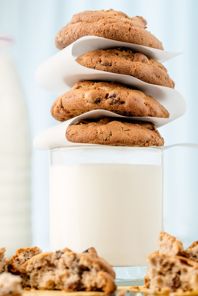Photograph Ardalan Dadashbeyki Cookie on One Eyeland