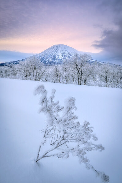 Photograph Yuusei Nagahata Hoarfrost And Ezo Fuji on One Eyeland