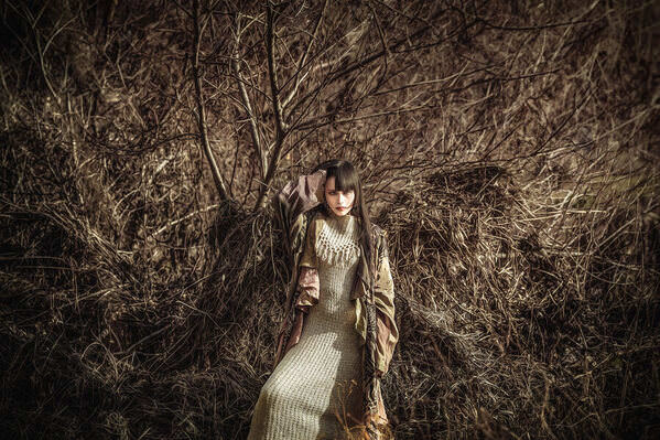 Photograph Takeborn Nikukyu Guardian Of The Wilderness on One Eyeland