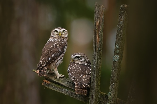 Photograph Jiri Svestka Me And My Wife on One Eyeland