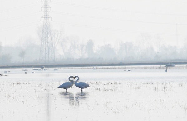Photograph Vahid Esfahanian Love on One Eyeland