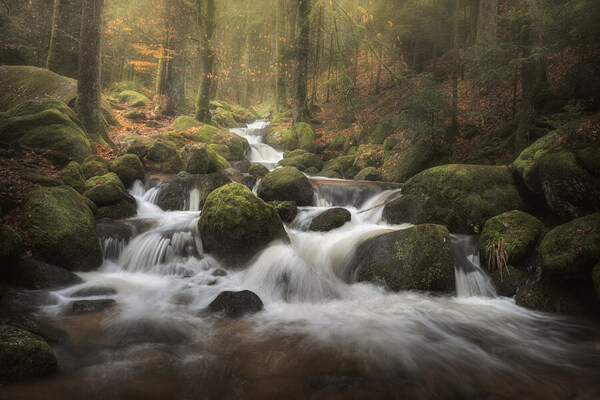 Photograph Benjamin Hoeger Autumn Flow on One Eyeland