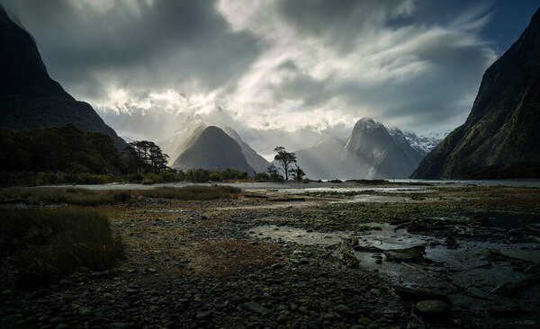 Photograph Stephan Romer Piopiotahi on One Eyeland