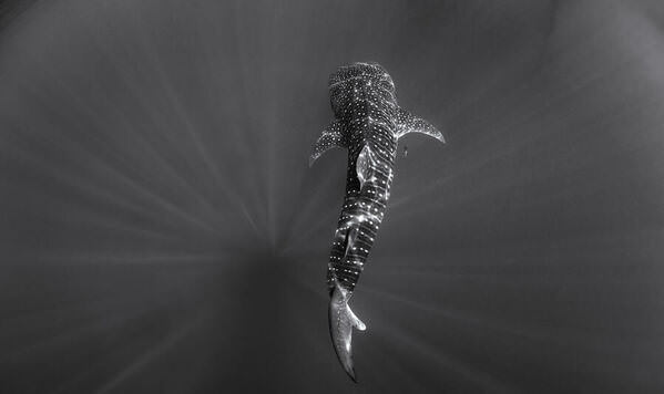 Photograph Andrey Savin See You Next Life on One Eyeland