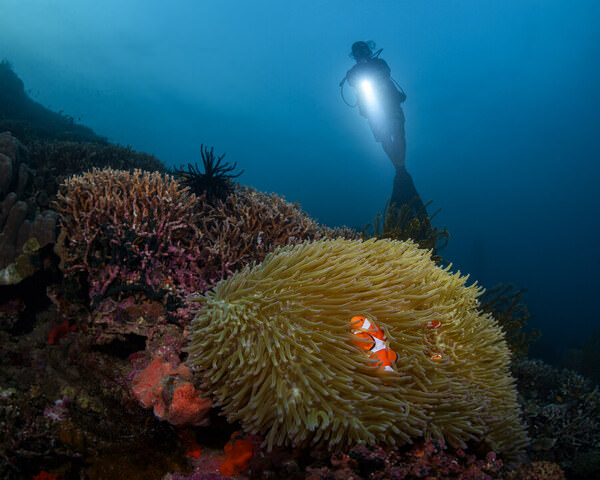 Photograph Andrey Savin The Same Nemo on One Eyeland
